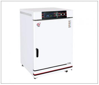 可编程立式精密干燥箱(300度)系列 